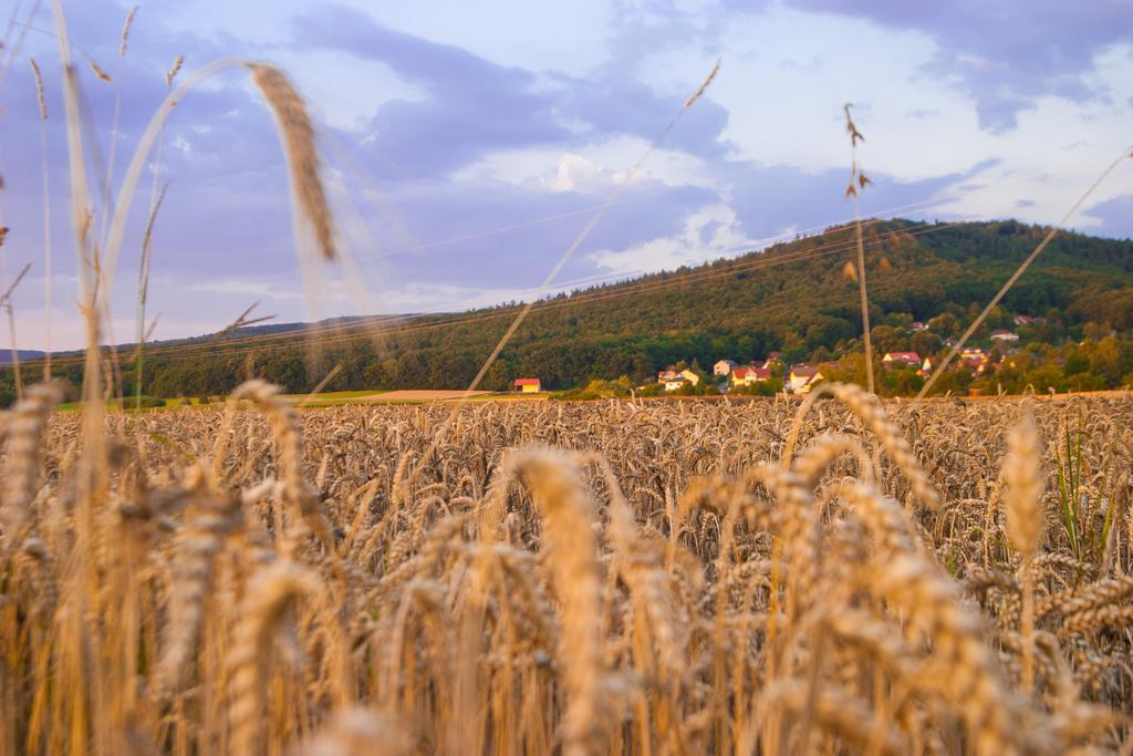 Exklusive Ferienwohnung Geisfeld Exteriér fotografie